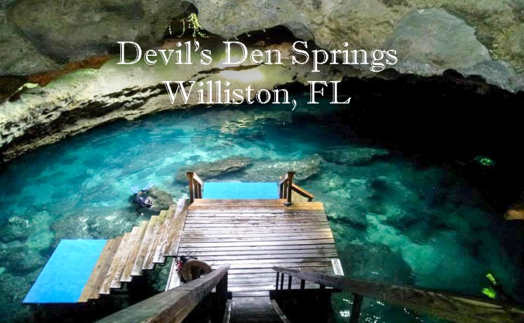 Devil's Den Spring  Williston, Florida, USA