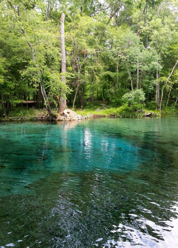 Daytrip to the Beautiful Ginnie Springs, Florida – CHASING WILDGUSTS